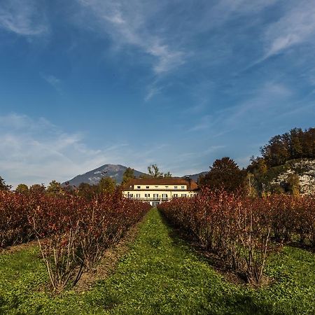 Villa Flora Аніф Екстер'єр фото